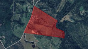 Hidden oasis, perfect location