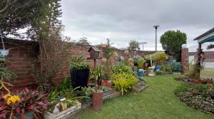 Two Properties on One Erf